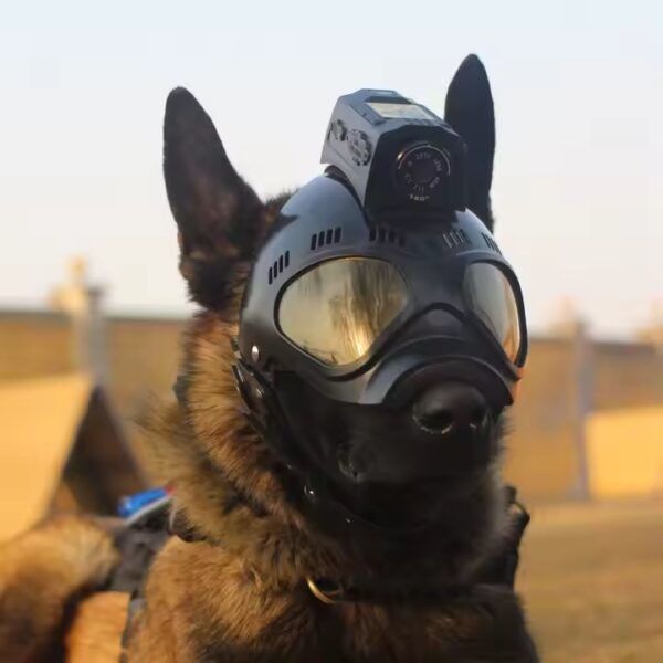 Live Streaming Troops Tactical Helmet Camera with 4G GPS and 2.4GHZ Wifi